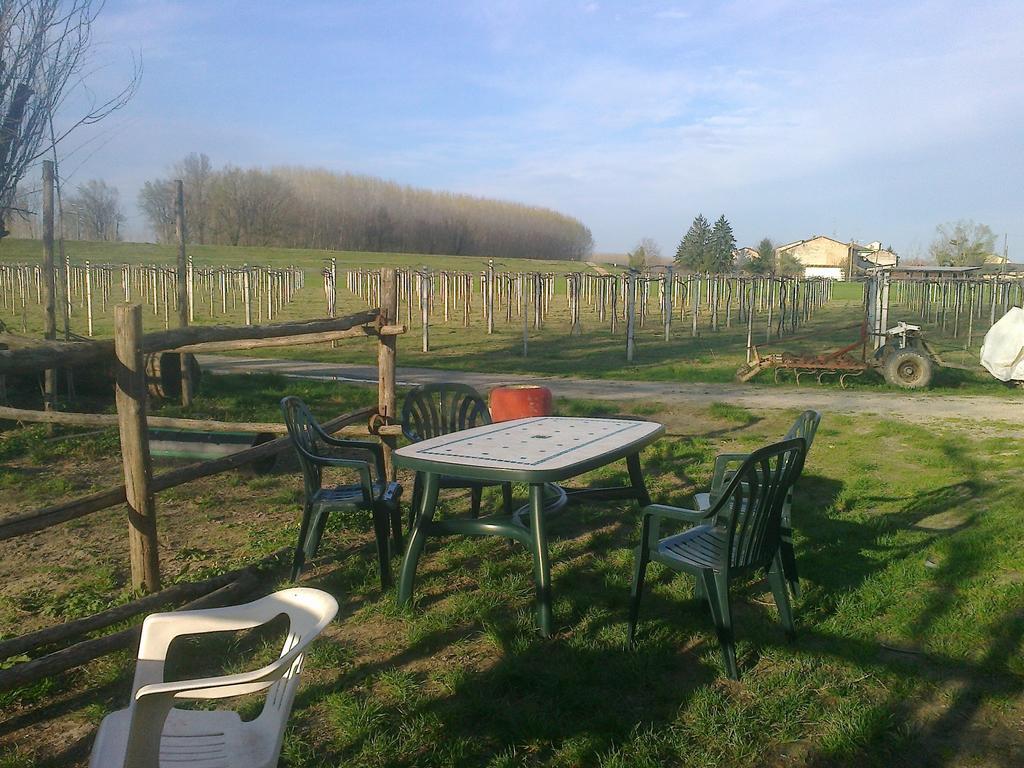 Agriturismo Antica Golena Гвасталла Экстерьер фото